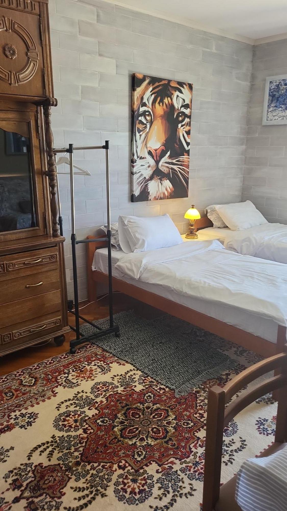 Studio Apartman Sa Pogledom Na More 梅尔吉恩 外观 照片